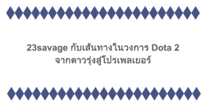 23savage กับเส้นทางในวงการ Dota 2 จากดาวรุ่งสู่โปรเพลเยอร์